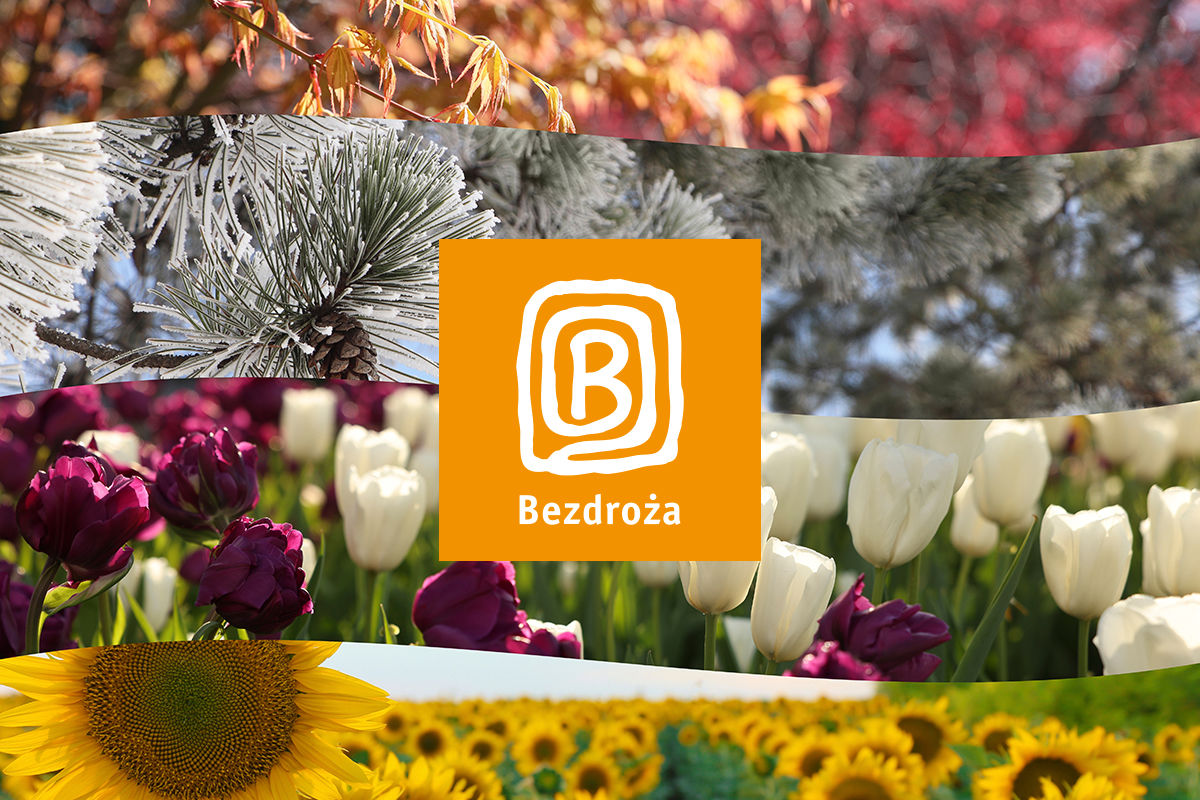 Podróż przez Rosję  (dzień 1 - 6)