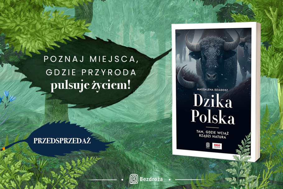 przyroda dzikie miejsca 