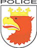 Grafika patrona książki