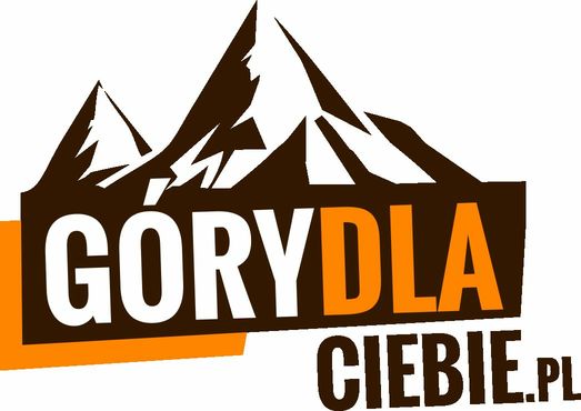 Grafika patrona książki