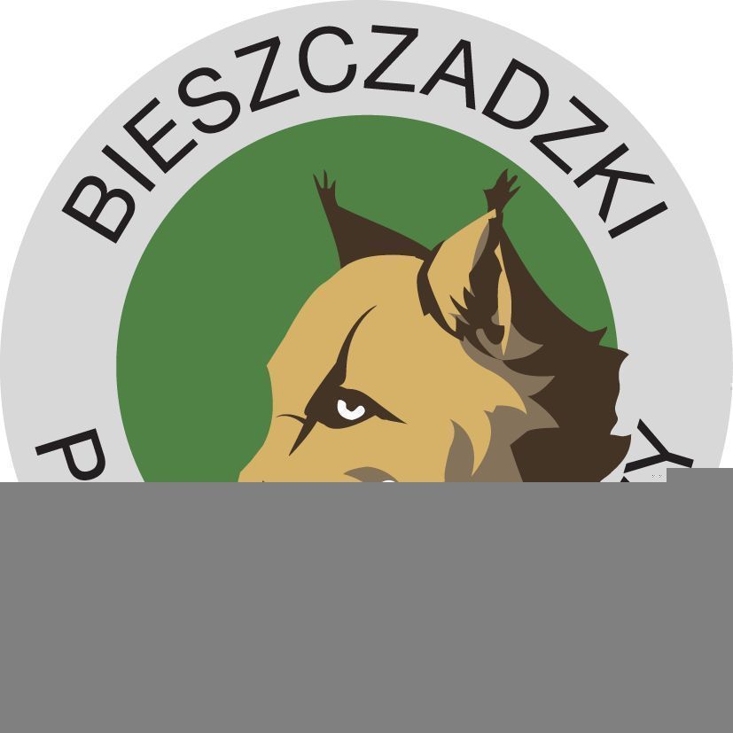 Grafika patrona książki