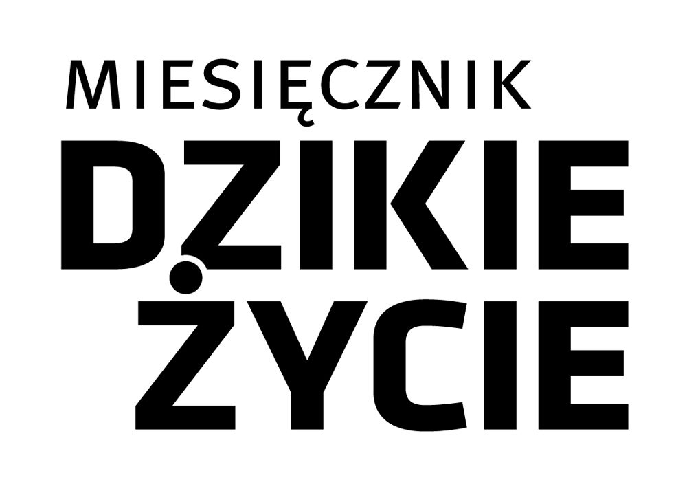 Grafika patrona książki