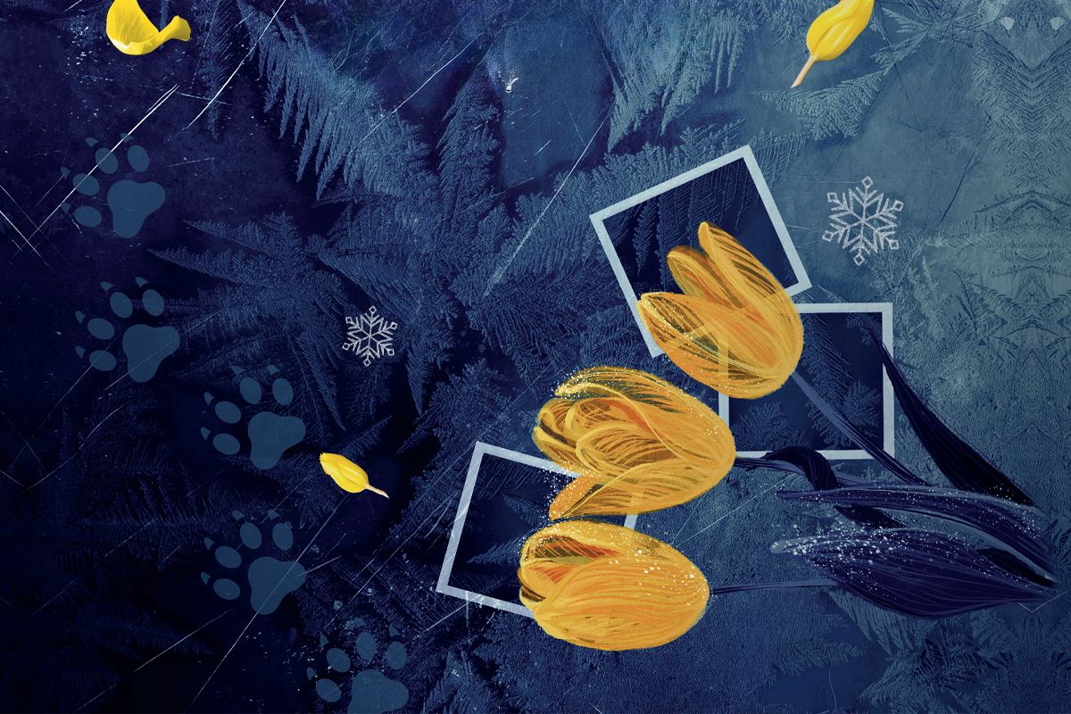 "Rodzina to nie tylko więzy krwi, ale przede wszystkim ludzie, którzy dają nam poczucie bezpieczeństwa" - 4 pytania do autorki "Blade"