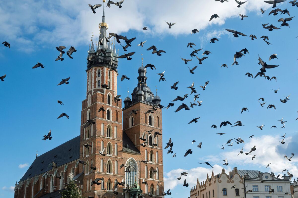 Spotkaj się z nami na 29. Międzynarodowych Targach Książki w Krakowie!