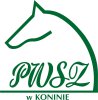 Logo - Państwowa Wyższa Szkoła Zawodowa w Koninie