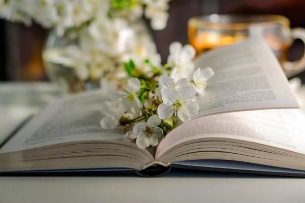 Co warto przeczytać w kwietniu –  ranking 5 najlepszych romansów młodzieżowych na wiosnę