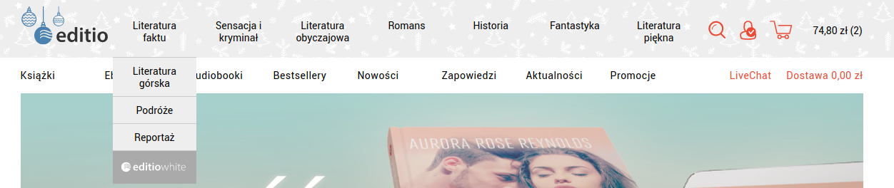 przewodnik