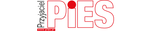 Grafika patrona książki