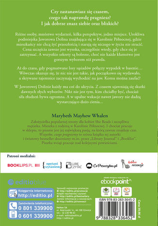 Tył okładki książki/ebooka Wszystko, czego pragniemy