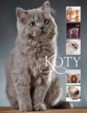 Koty_160 Koty_160