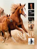 Konie_160 Konie_160