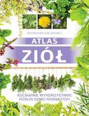 Atlas ziół. Kulinarne wykorzystanie roślin dziko rosnących Atlas ziół. Kulinarne wykorzystanie roślin dziko rosnących