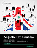 Angielski w biznesie. Kurs video. Poziom pierwszy. Kurs językowy dla zapracowanych