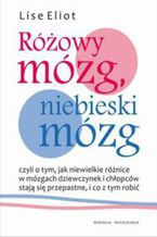 Nie znaleziono obrazka!