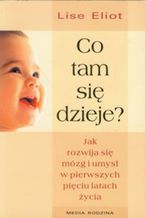 Nie znaleziono obrazka!