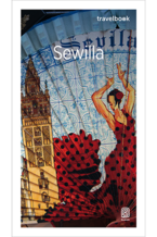 Seria Travelbooki