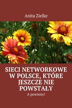 Okadka ksiki Sieci networkowe w Polsce, ktre jeszcze nie powstay, a powinny!