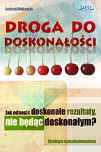 Okładka - Droga do doskonałości. Jak odnosić doskonałe rezultaty, nie będąc doskonałym? - Andrzej Wojtyniak