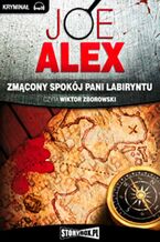 Okładka - Zmącony spokój Pani Labiryntu - Joe Alex
