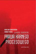 Okładka - Wybrane zagadnienia prawa karnego procesowego - Monika Porwisz, Agnieszka Choromańska