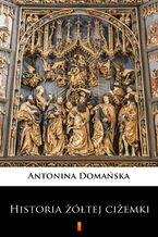 Okładka - Historia żółtej ciżemki - Antonina Domańska