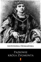 Okładka - Paziowie króla Zygmunta - Antonina Domańska