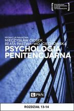 Okładka - Psychologia penitencjarna. Rozdział 13-14 - Henryk Machel, Andrzej Piotrowski, Elżbieta Chęcińska