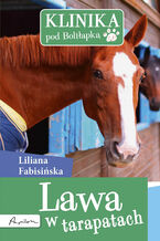 Okładka - Klinika pod Boliłapką (#11). Klinika pod Boliłapką. Lawa w tarapatach - Liliana Fabisińska