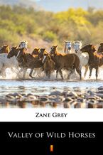 Valley of Wild Horses