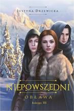 Okładka - Niepowszedni 3 Obława - Justyna Drzewicka