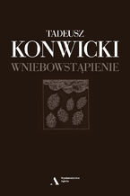 Okładka - Wniebowstąpienie - Tadeusz Konwicki