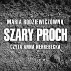 Szary proch