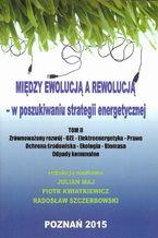 Między ewolucją a rewolucją - w poszukiwaniu strategii energetycznej Tom 2