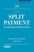 Split Payment w sektorze budżetowym wyjaśnienia , przykłady , odpowiedzi