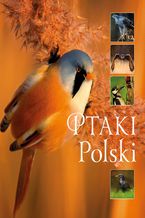 Okadka ksiki Ptaki Polski_160