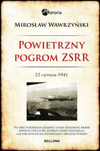 Powietrzny pogrom ZSRR. 22 czerwca 1941