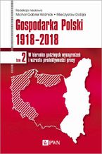 Okładka - Gospodarka Polski 1918-2018 tom 2 - Mieczysław Dobija, Michał Gabriel Woźniak