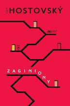 Zaginiony