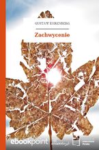 Zachwycenie