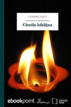 Chwila biblijna