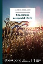 Spacerując nieopodal ESSO