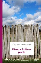 Okładka - Historia kołka w płocie - Józef Ignacy Kraszewski