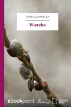 Wierzba