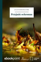 Przyjaźń ochronna