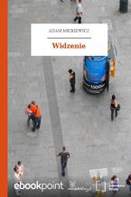 Widzenie