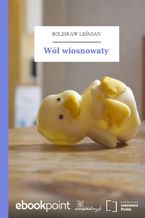 Wół wiosnowaty