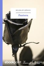 Okadka ksiki Pantera