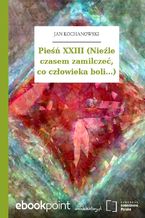 Pieśń XXIII (Nieźle czasem zamilczeć, co człowieka boli...)