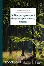 Kilka przypuszczeń dotyczących natury śniegu