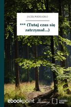 *** (Tutaj czas się zatrzymał...)